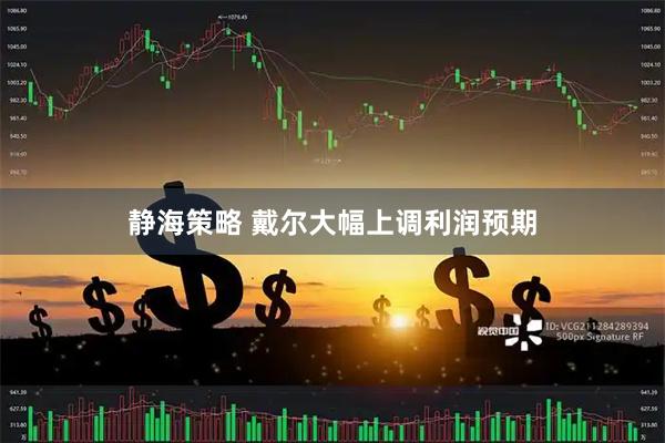 静海策略 戴尔大幅上调利润预期