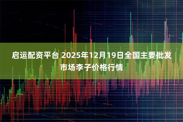 启运配资平台 2025年12月19日全国主要批发市场李子价格行情