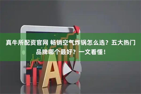 真牛所配资官网 畅销空气炸锅怎么选？五大热门品牌哪个最好？一文看懂！
