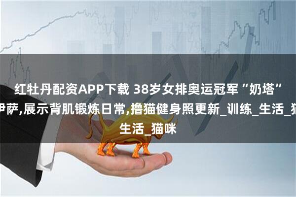 红牡丹配资APP下载 38岁女排奥运冠军“奶塔”塔伊萨,展示背肌锻炼日常,撸猫健身照更新_训练_生活_猫咪