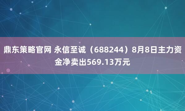 鼎东策略官网 永信至诚（688244）8月8日主力资金净卖出569.13万元