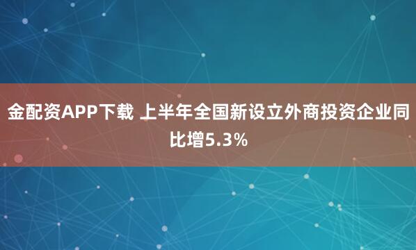 金配资APP下载 上半年全国新设立外商投资企业同比增5.3%